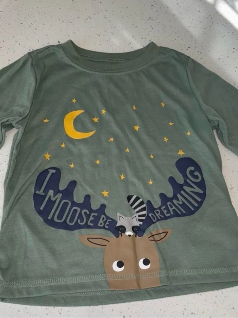 Kids Green Moose Dreaming Pajama Set